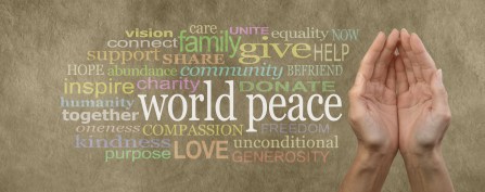 Contribute to World Peace Campaign Banner